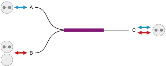 Custom PM Fused WDMs Datasheet